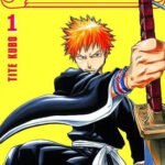 BLEACH (ED. MAXIMUM) Nº 01