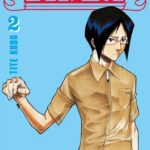 BLEACH (ED. MAXIMUM) Nº 02
